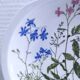 Eleven soup plates Alcée model porcelain Bernardaud Limoges floral decor