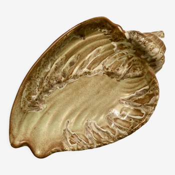 Shell fruit cup Vallauris