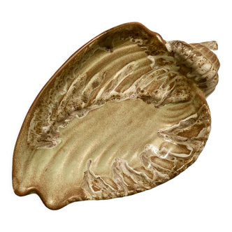 Shell fruit cup Vallauris