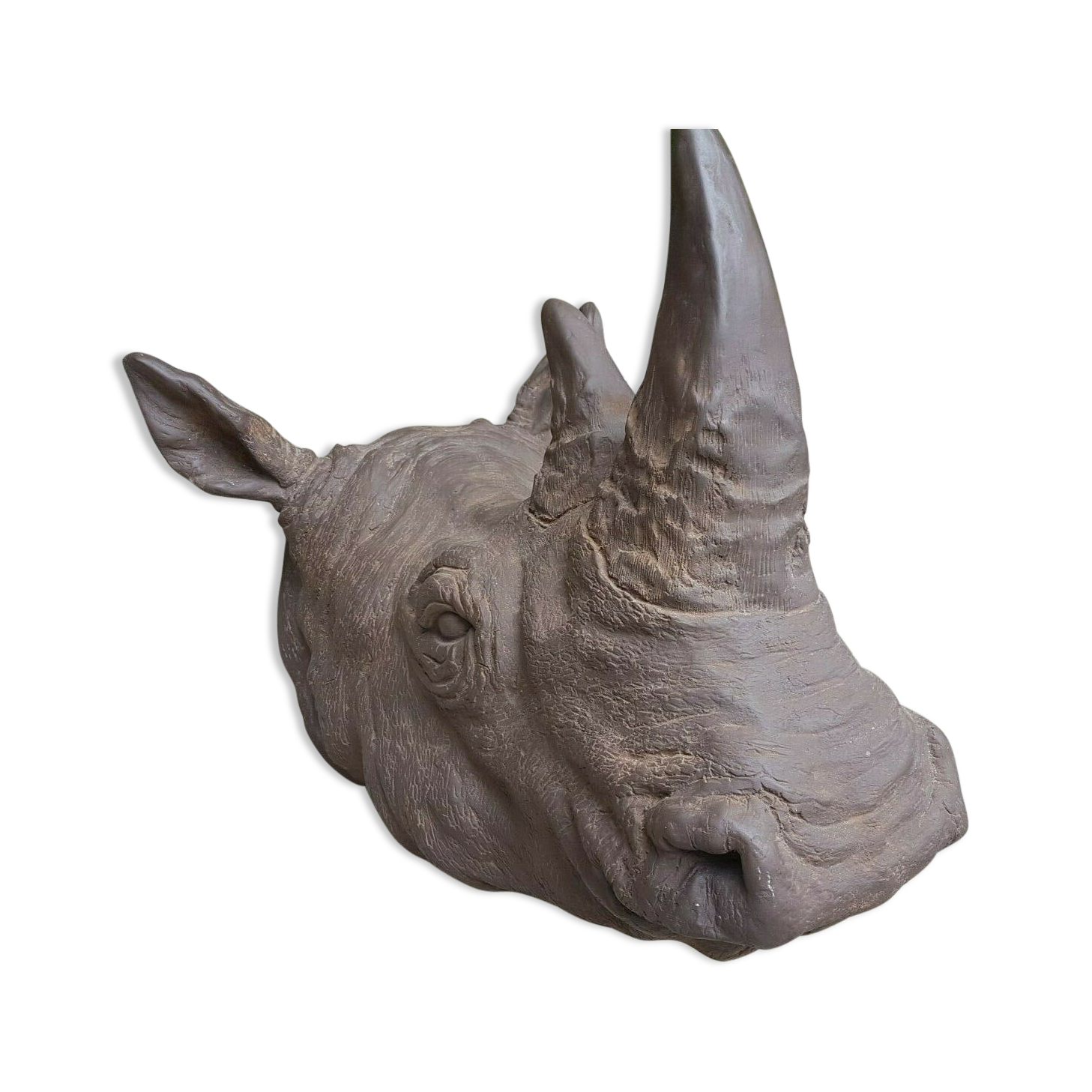 Resin rhino head