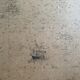 Planisphere of the naval hydrographic service