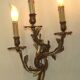 Very large pair of early 1900s 3-light acanthus leaf wall sconces 5209