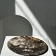 Dish in petrified wood