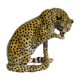 Terracotta ceramic cheetah or leopard statue, 1950s