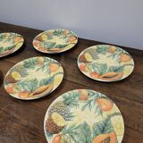 6 Tutti Frutti Corona plates