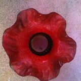 Ancient tulip
