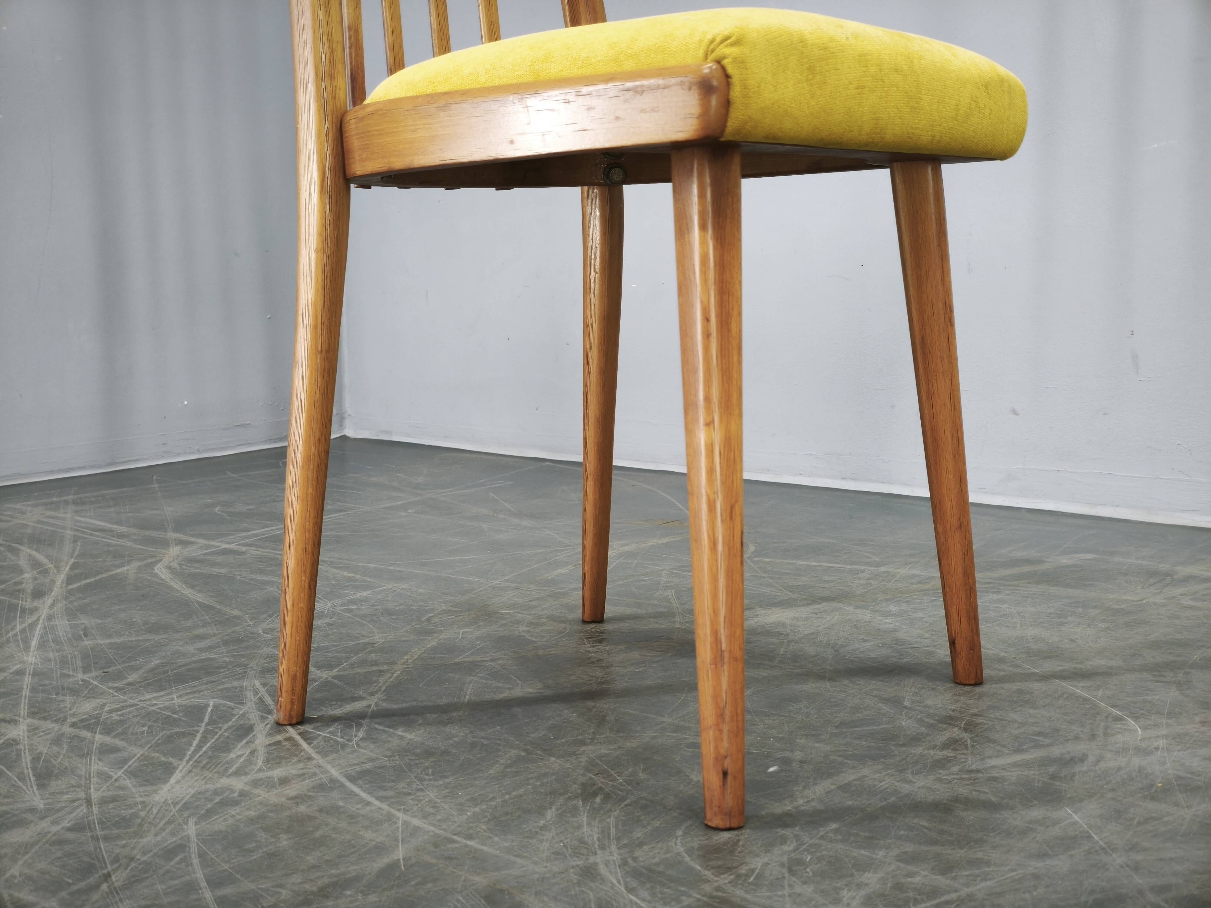 Set of 4 Mid-Century TON Beech Dining Chairs, Czechoslovakia, 1970s
