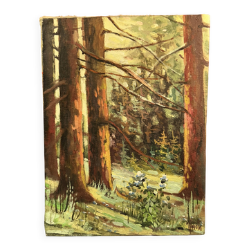 Oil on canvas "Undergrowth" signature to be identified