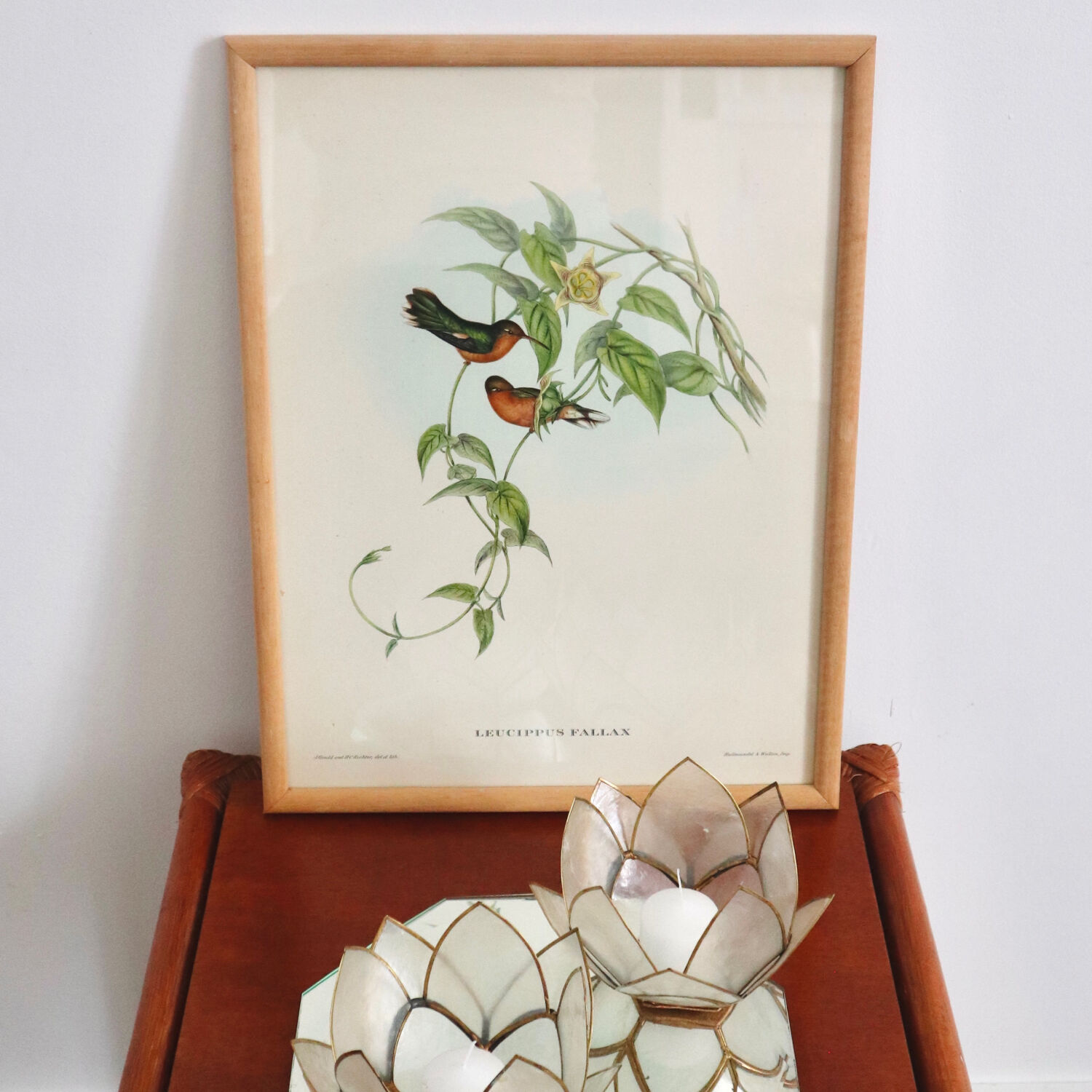 Vintage bird illustration