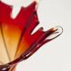 Murano glass vase by Fratelli Toso signed Murano orange and red
