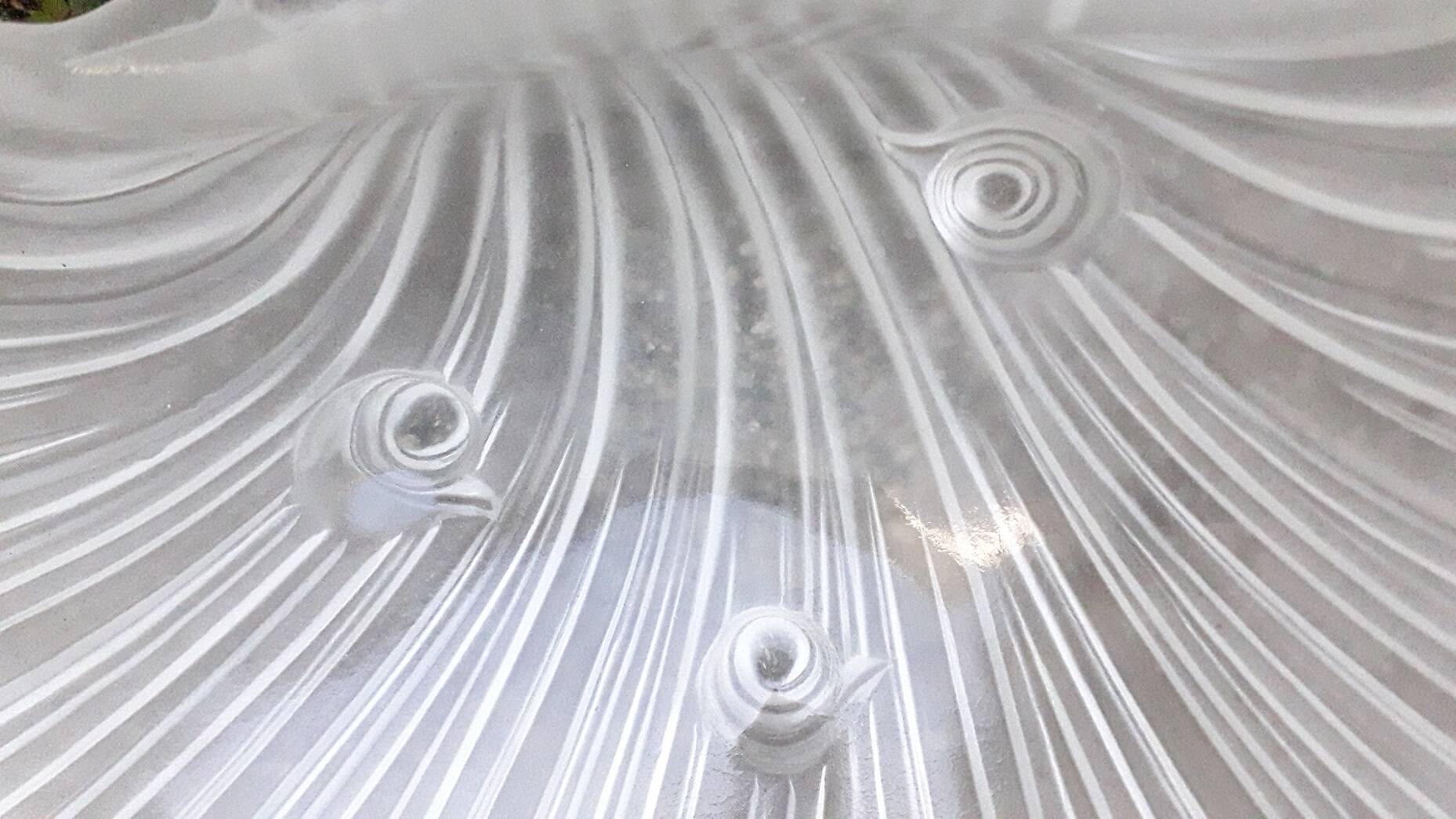 Shell-shaped catchall
