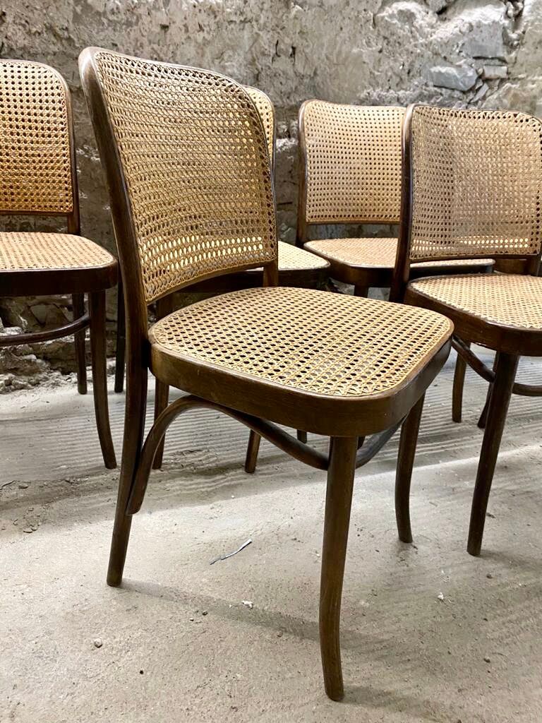 Suite de 6 chaises par Josef Hoffmann pour Thonet années 60