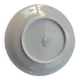 Collection cup