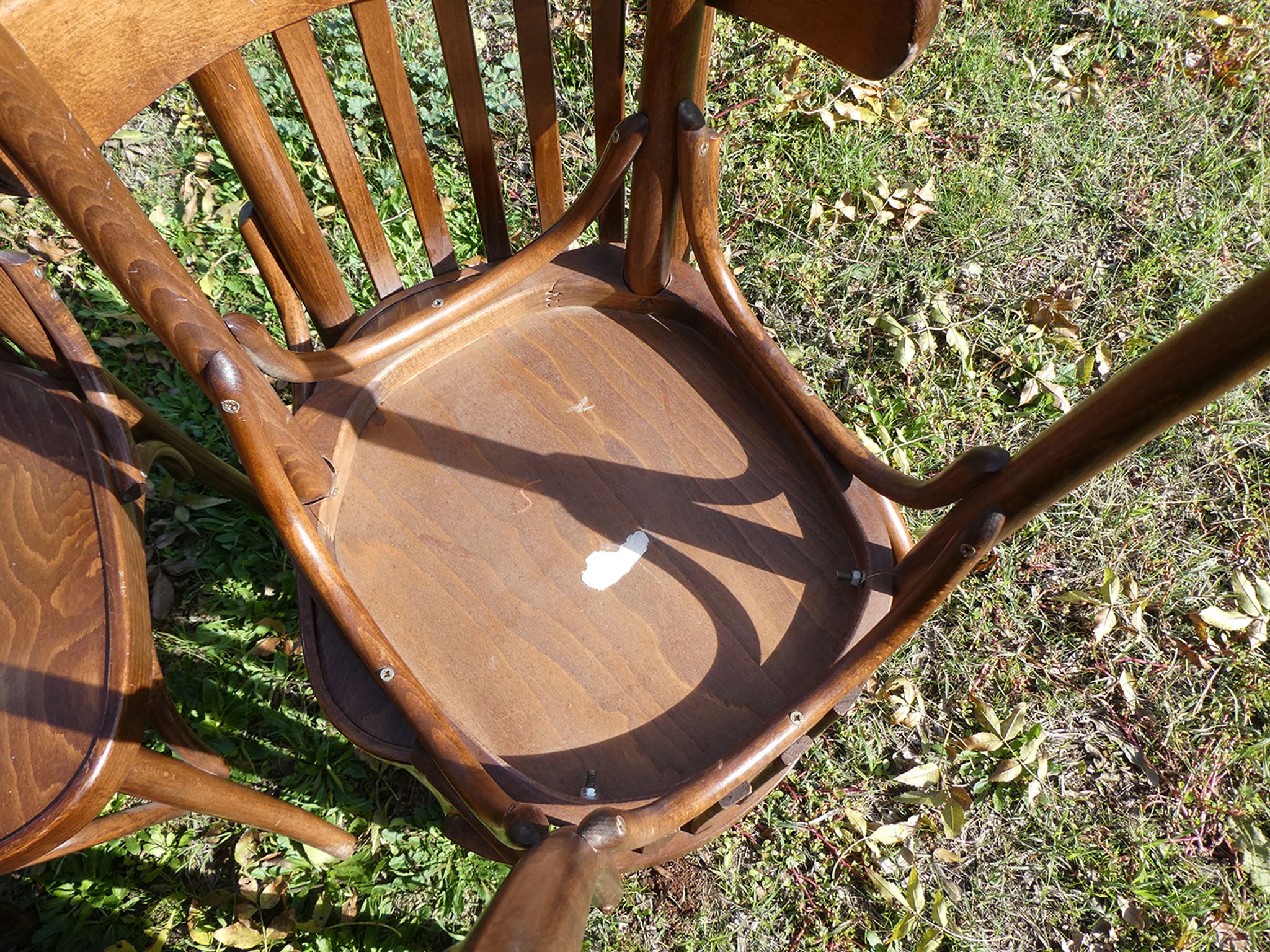 Lot de 11 chaises bistrot en bois courbé vintage