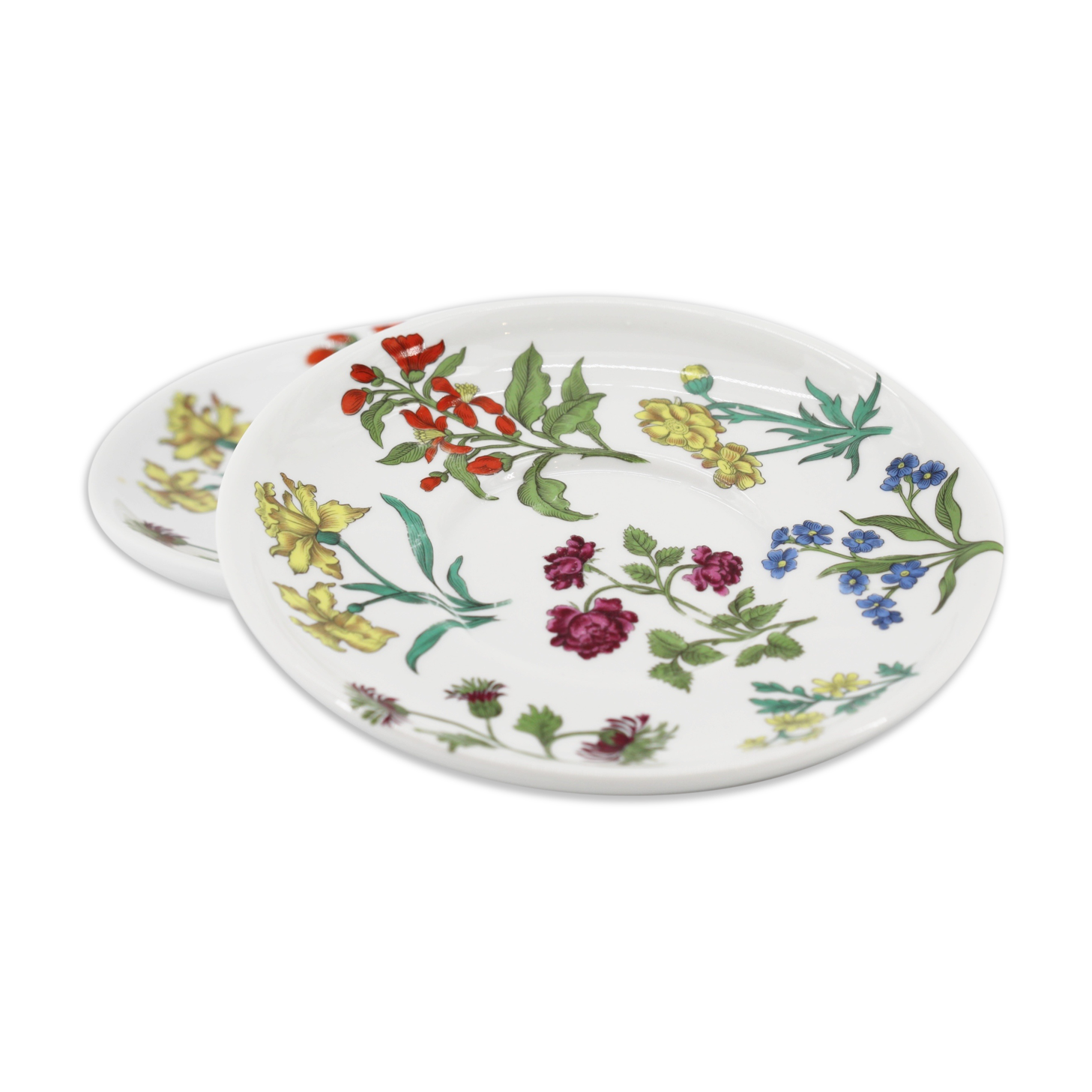 Lot of 2 plates porcelain herbarium of Paris