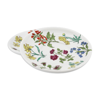 Lot de 2 assiettes herbier porcelaine de Paris