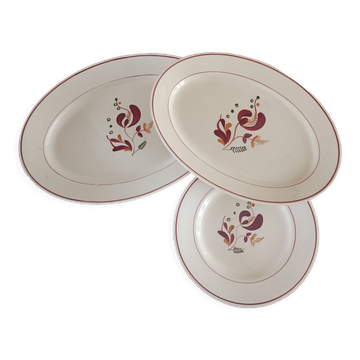 2 dishes and 1 plate iron earth Salins