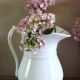 White faience pitcher Swan Saint Amand