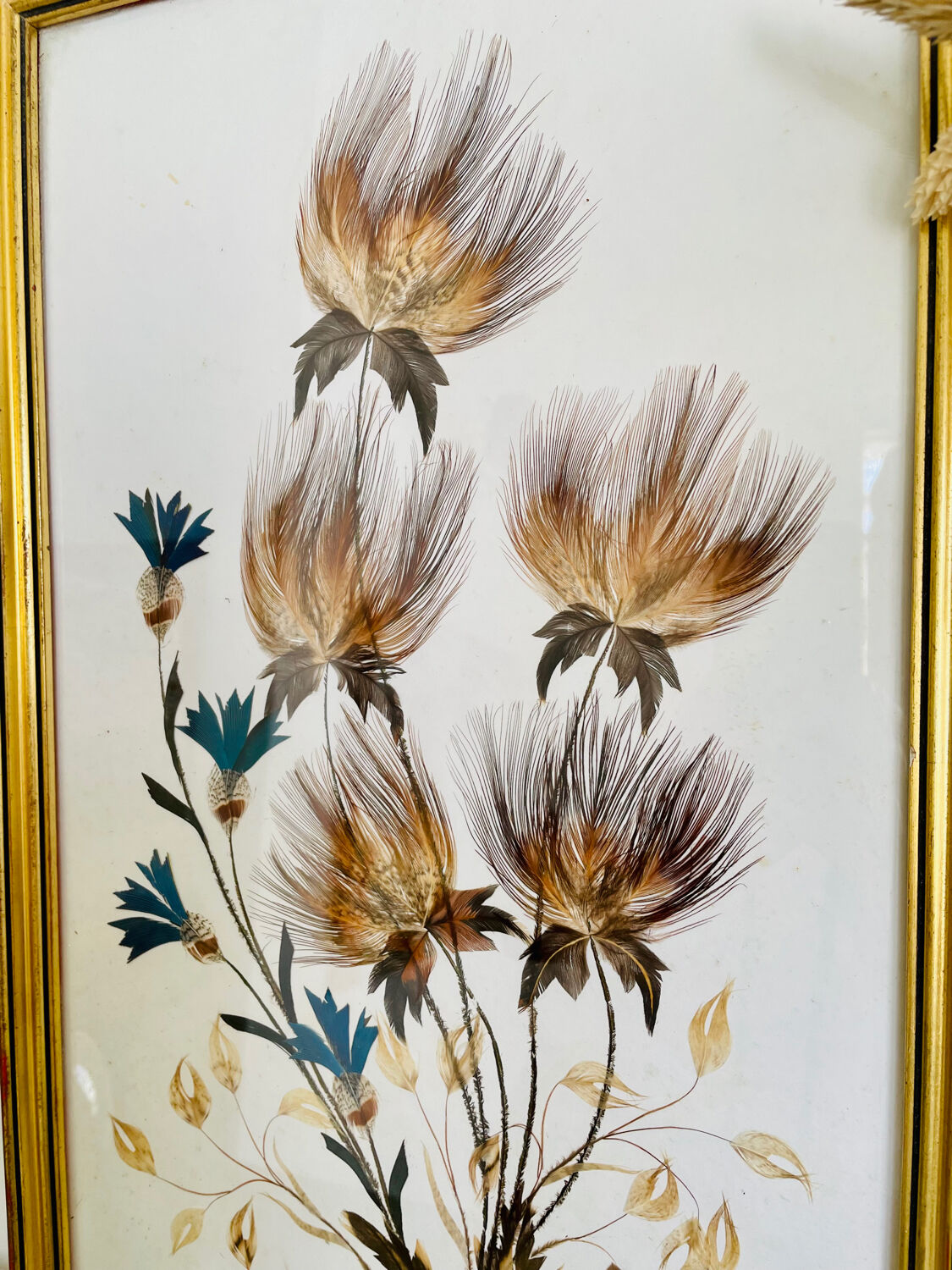 Vintage framing floral feather patterns