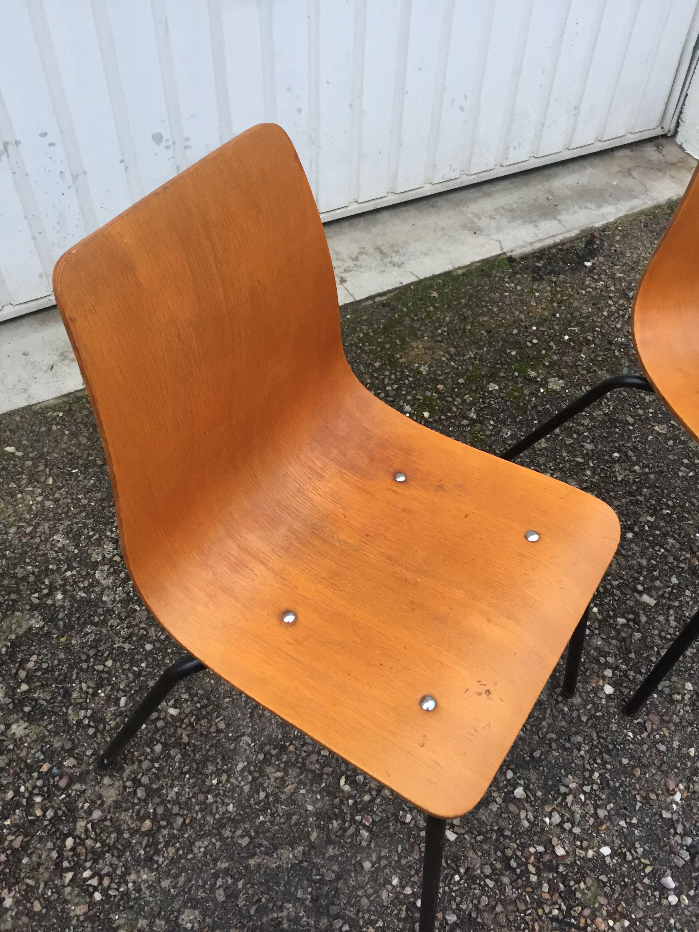 Pair of Papyrus chairs (Steiner edition)