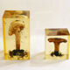 2 inclusions resin Mushrooms