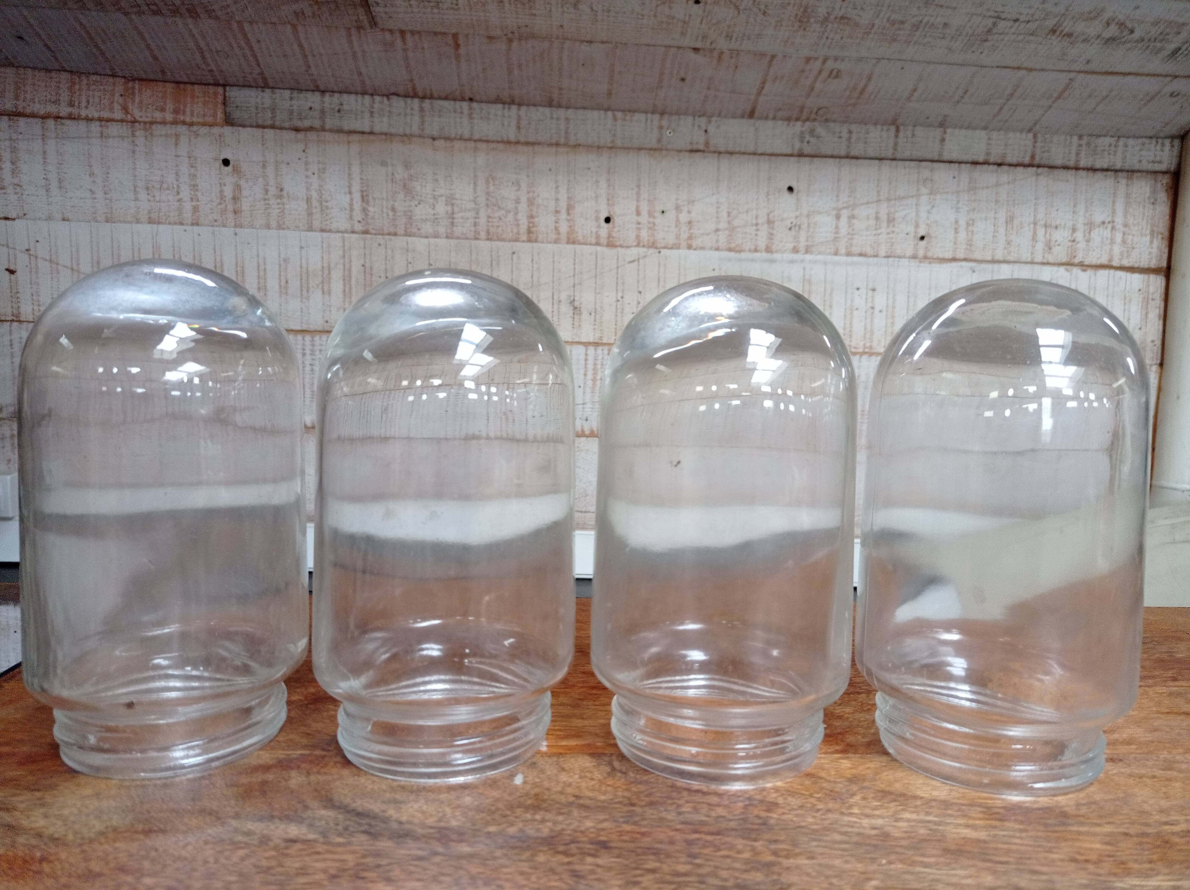 Set of 4 glass shell globes