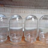 Set of 4 glass shell globes