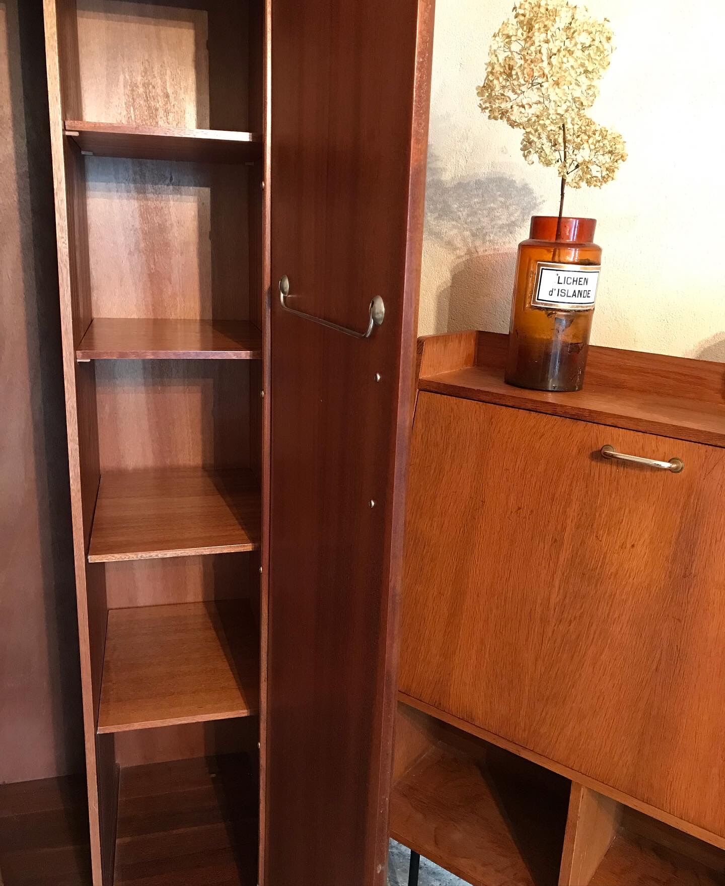 Scandinavian wardrobe vintage teak 1960-70's
