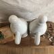 Porcelain bottle duo for mirabelle and raspberry brandy