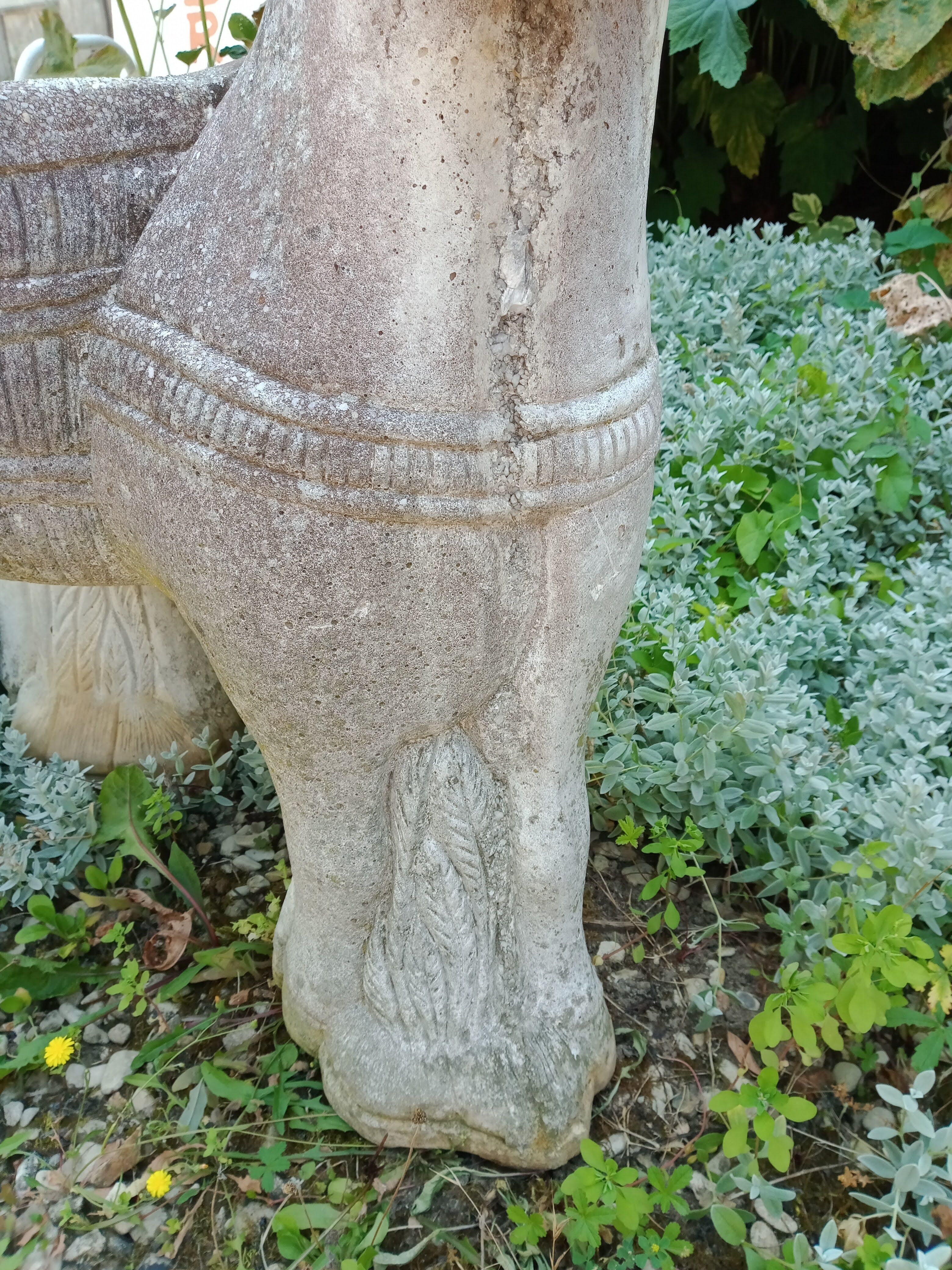 Cement donkey planter