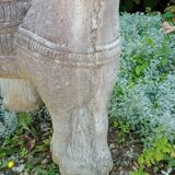 Cement donkey planter