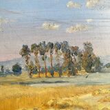 Framed landscape painting