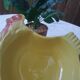 Salad bowl