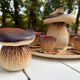 Vintage Bruno Dose service – Mushroom model