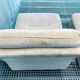 Pair of vintage beige velvet chairs
