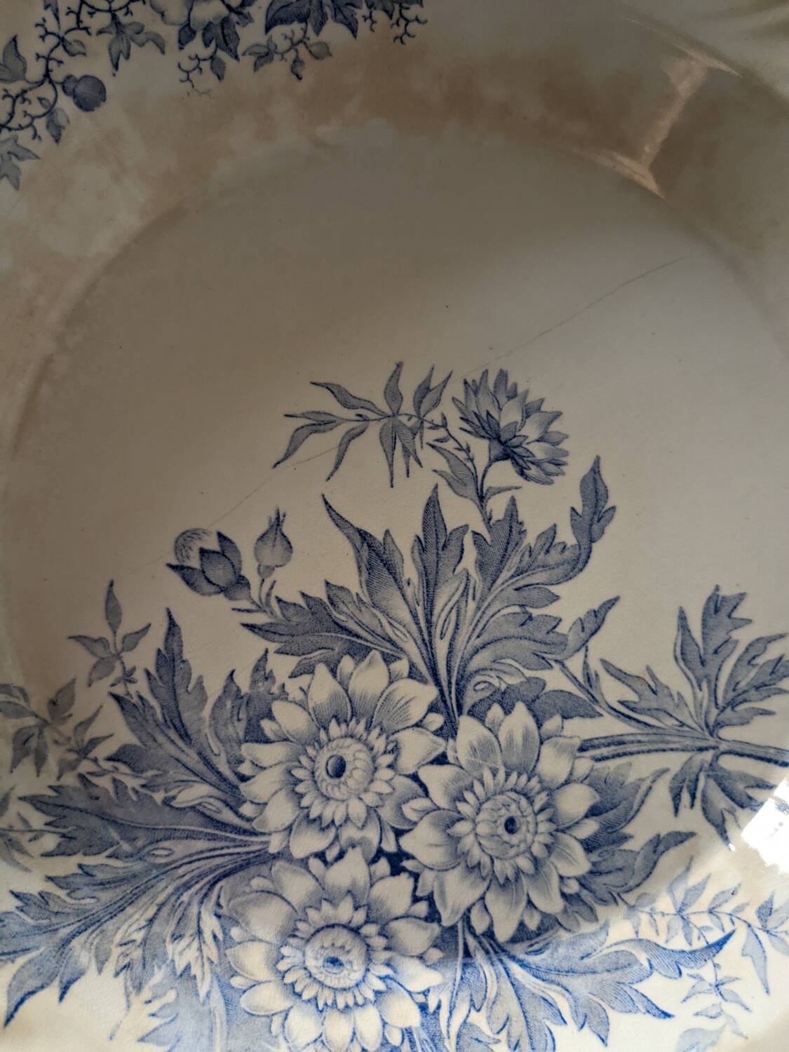 Dish Badonviller Summer