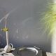 Jean Couzon stainless steel dish