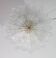 Amsterdam Palmetta, Italian Murano Glass Ceiling Light or Flush Mount, 1970