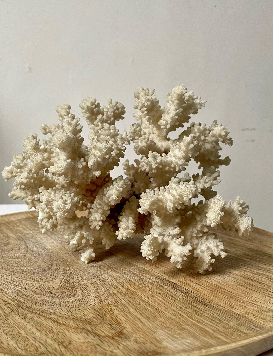 Vintage white coral