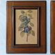 4 fruit paintings