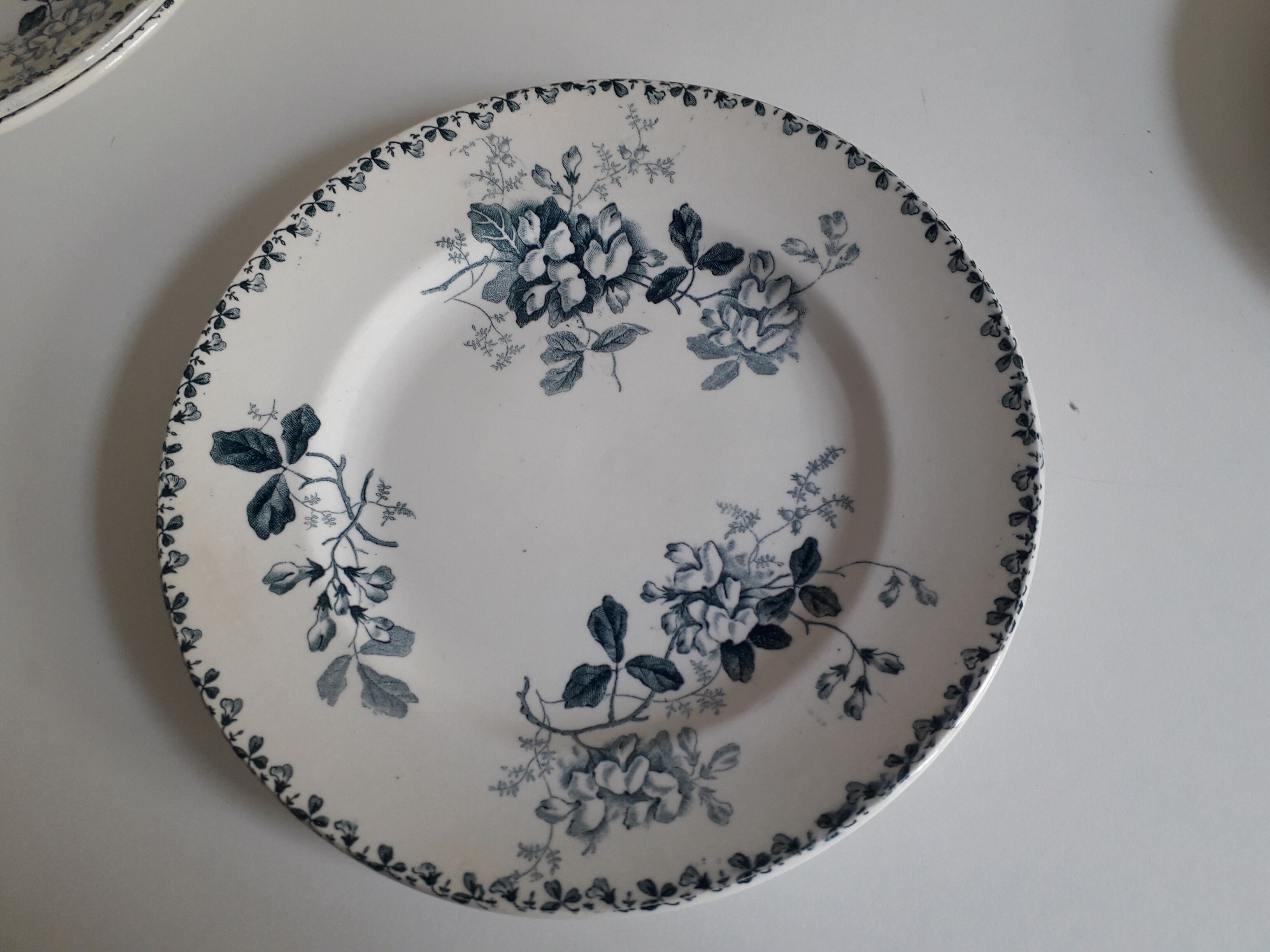 Lot de 4 assiettes plates modèle Acacia faïence de Saint-Amand