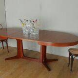 Scandinavian style oval table in central foot with extensions