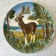 Dish slurry animal model deer 30 years Made in Germany