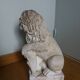 Lion garden statue in reconstituted stone