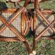 Vintage Rattan and Cane Dining Room
