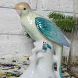 Exotic birds