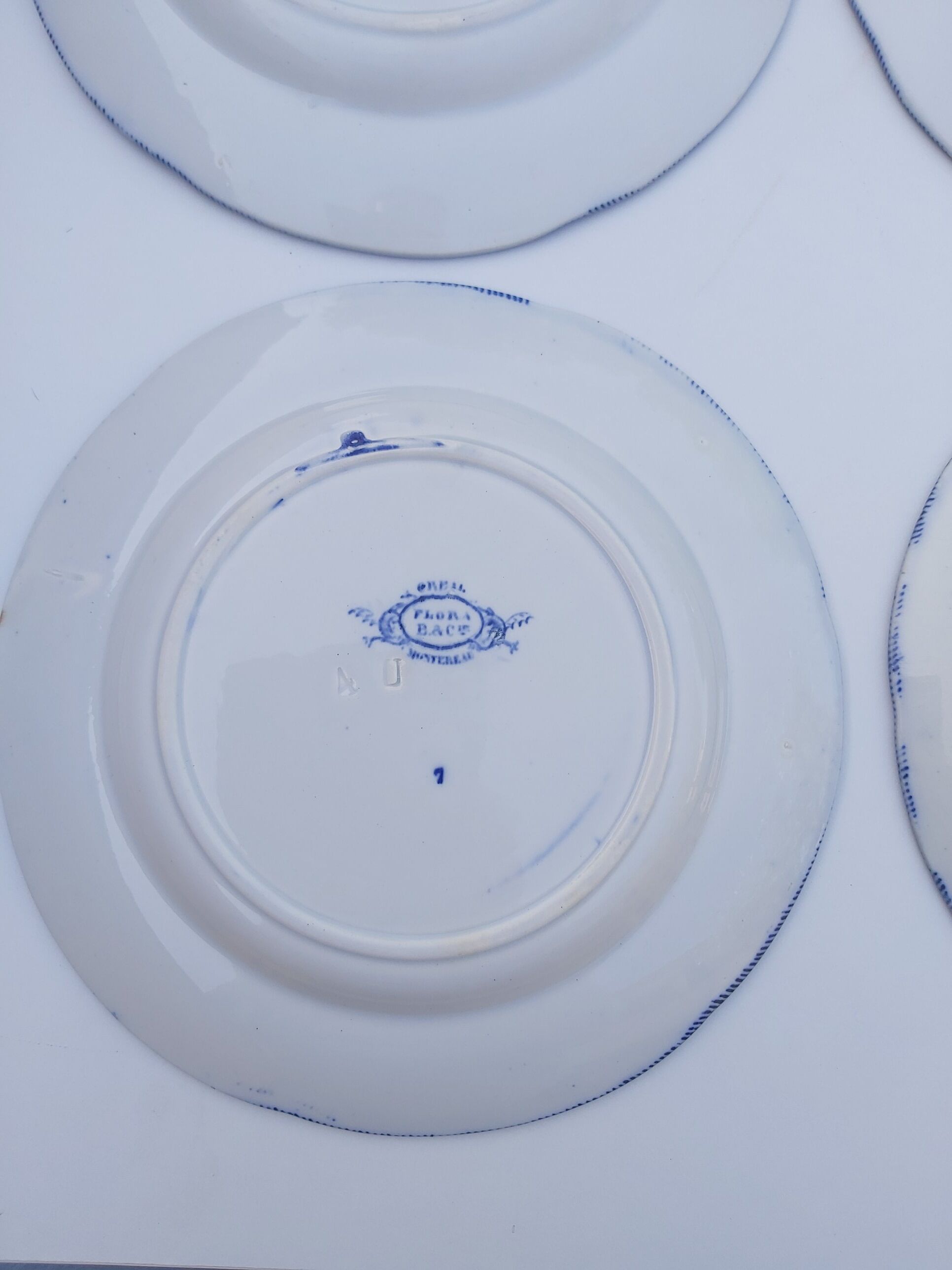 6 flat plates Creil and Montereau Flora