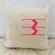 Lot de 2 housses de coussin n°8 et n°48