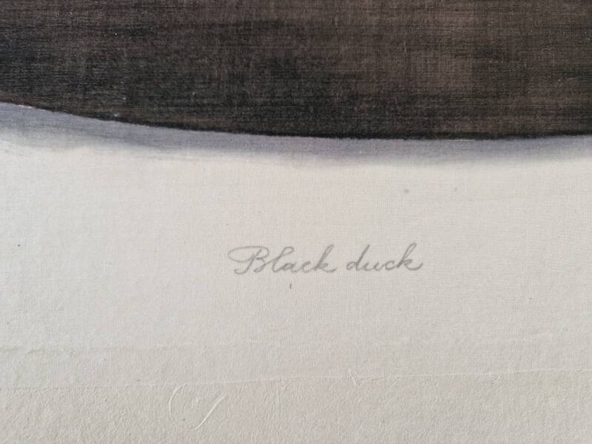 La Roche Laffitte (Born in 1943) - Watercolour drawing on fabric - Duck