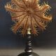 Cabinet de Curiosités étoile de mer acanthaster planci sur socle